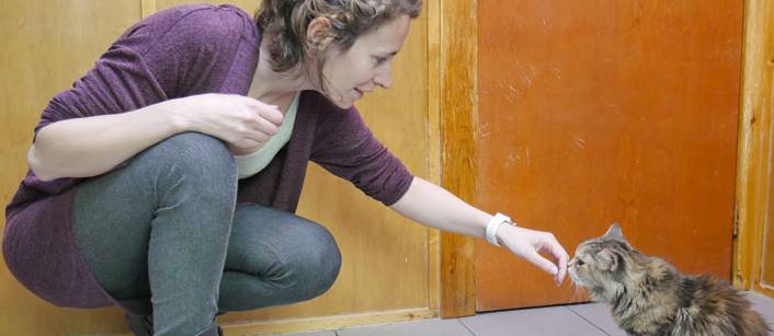 Alexandra Ricque chat sent main